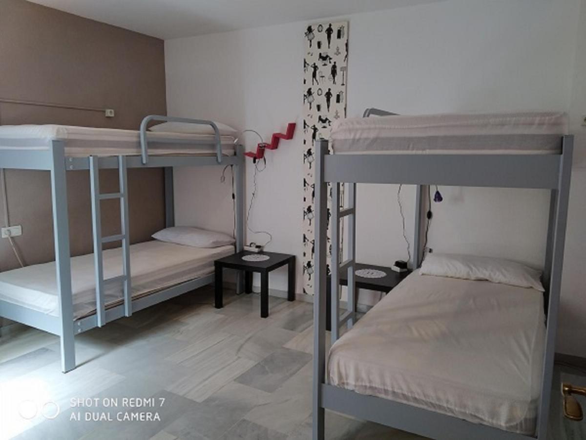Bunk Bed 4-Bed Female Dormitory Room