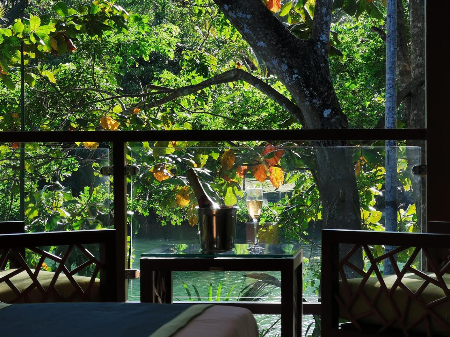 Deluxe Double or Twin Room River View