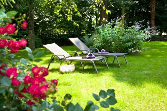 Single Room Garden View