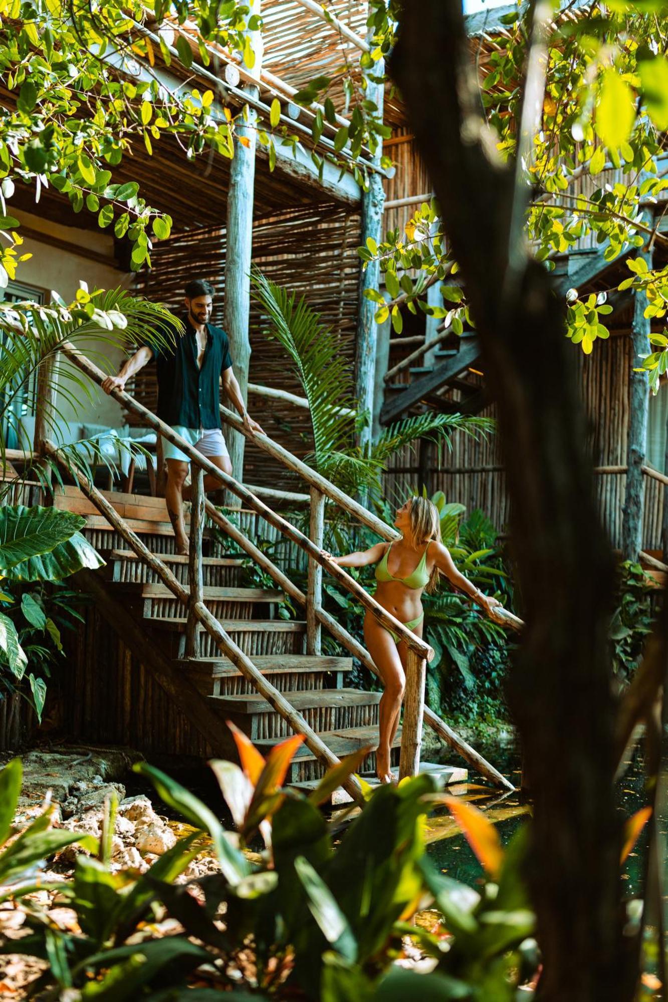 Suite Garden View