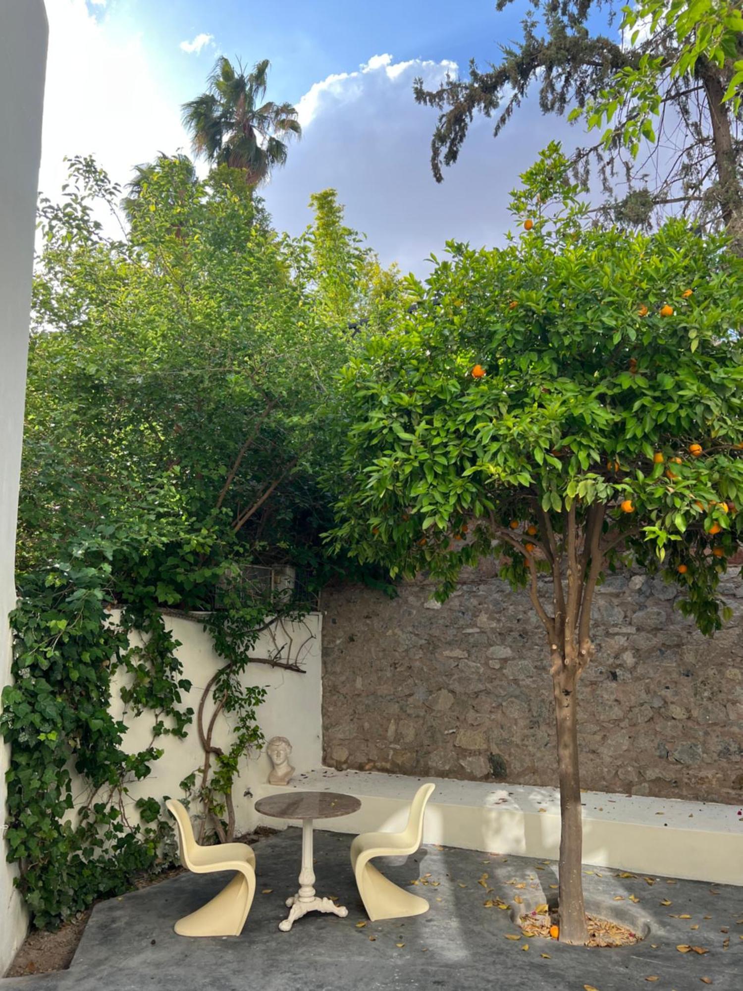 Junior Suite Terrace