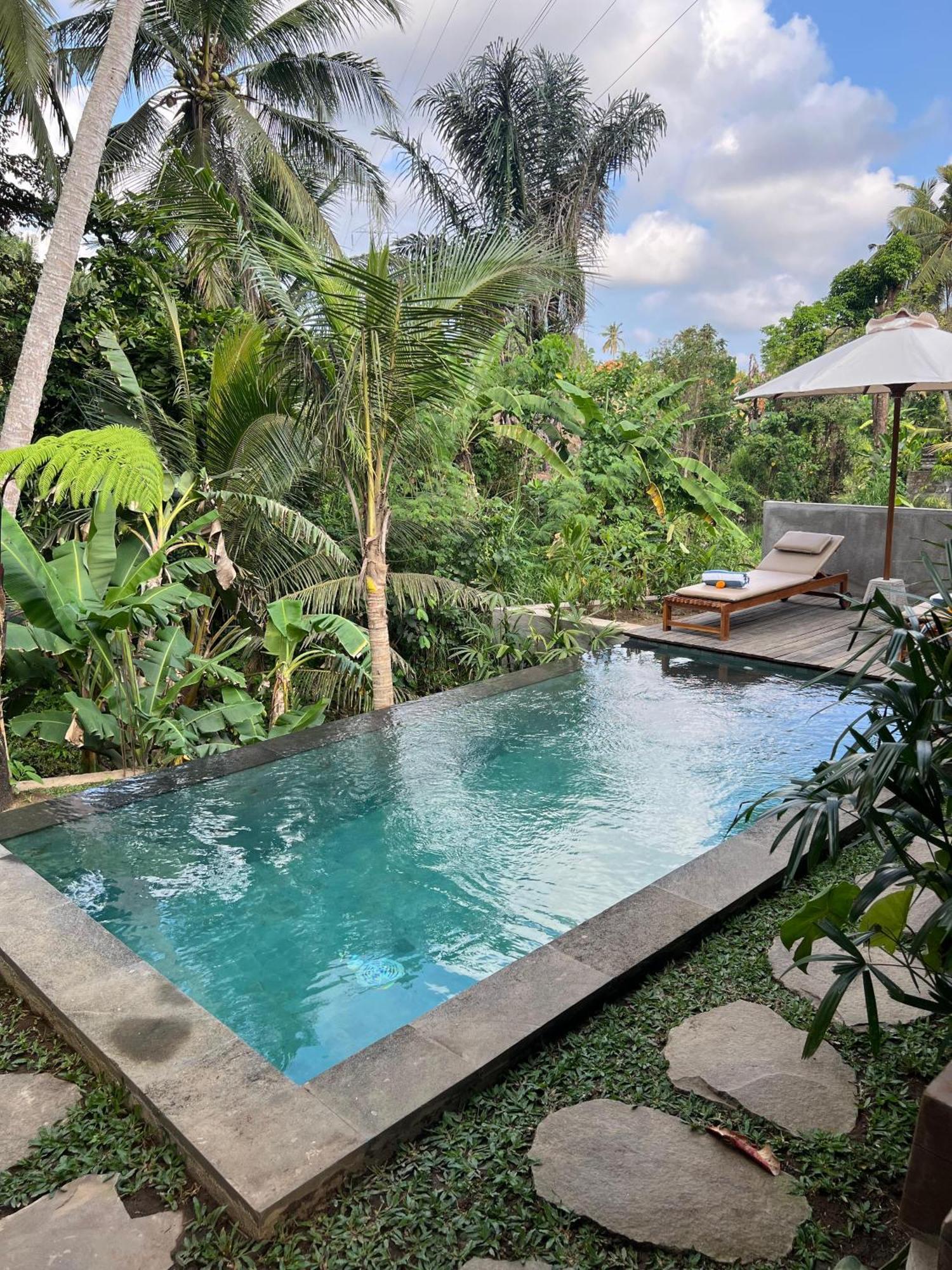 Wooden One-Bedroom Villa Private Pool