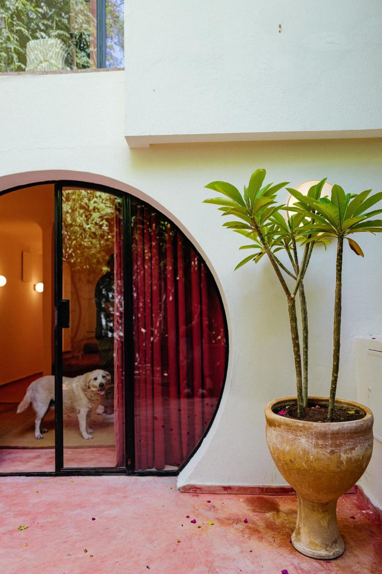 Deluxe Suite view Jardin Majorelle
