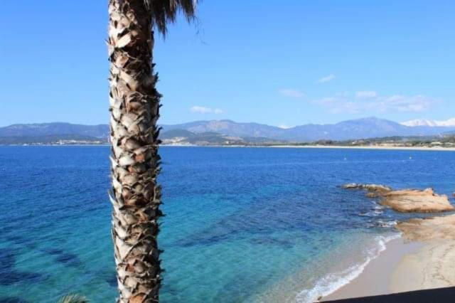 Double or Twin Room Sea View
