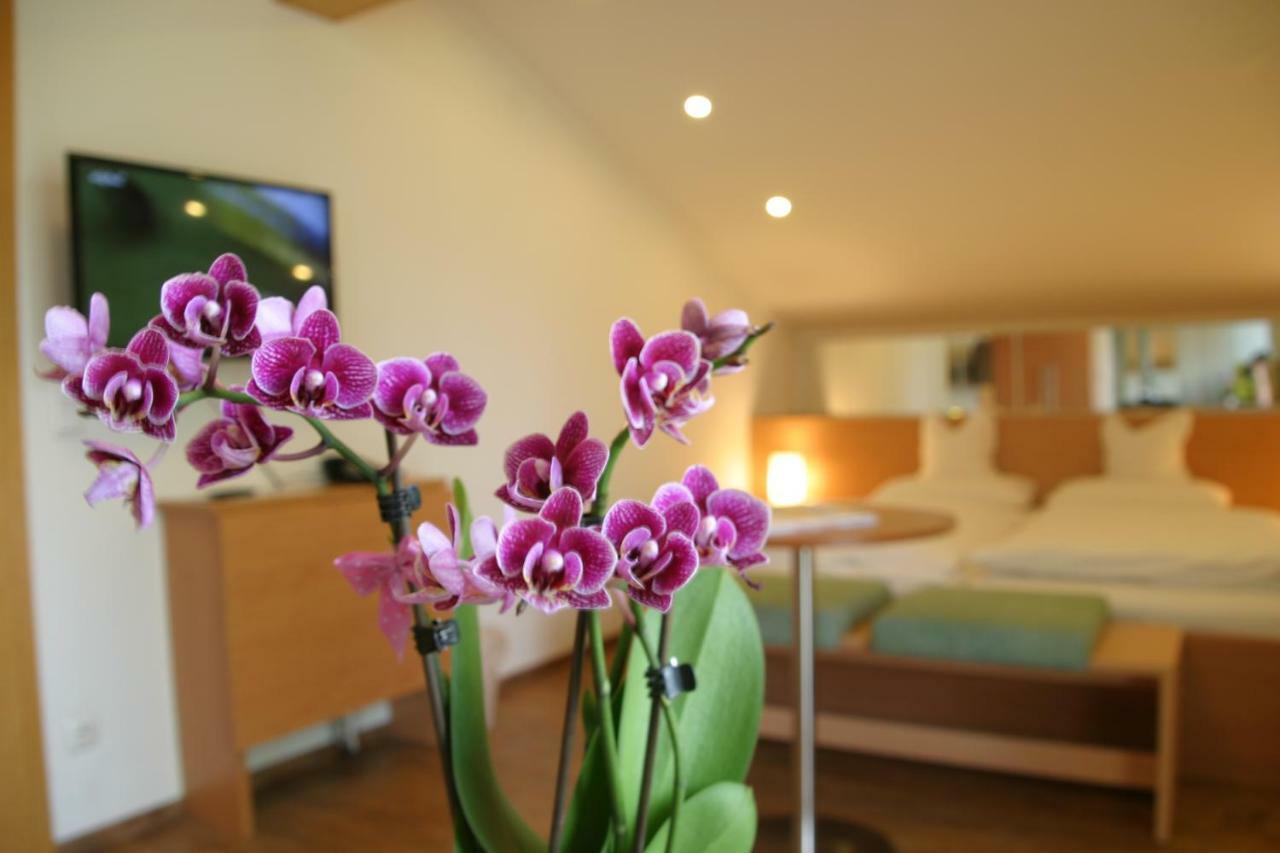 Double Room Mountain View