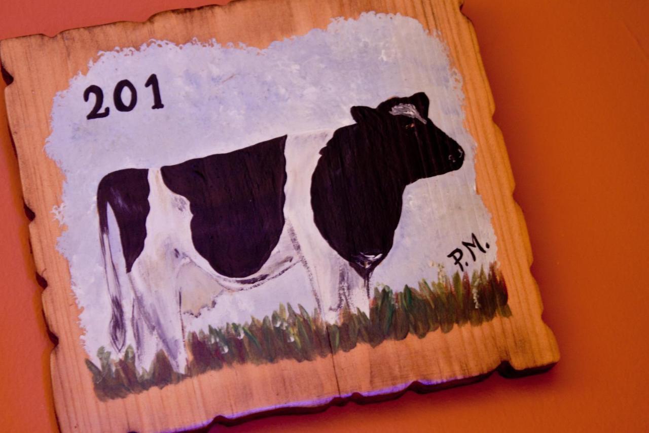 Double or Twin Room,1012447462:JPEG