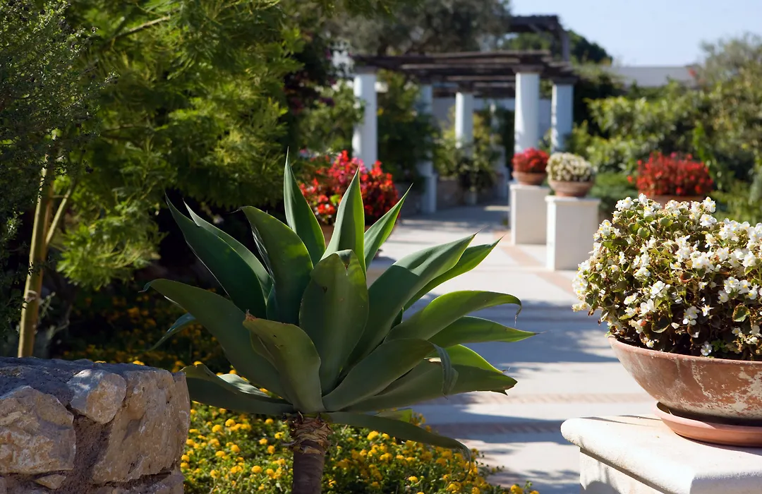Hotel Al Mulino - Mediterranean Garden Retreat In Anacapri-1