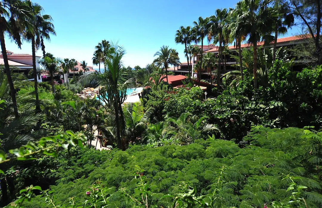 Hotel Parque Tropical-1