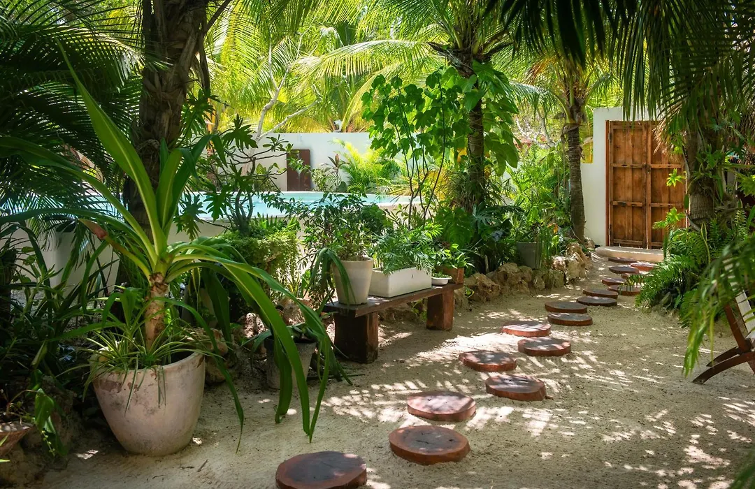 El Corazon Boutique Hotel - Adults Only With Pool & Beach Club Access-1