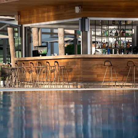 Acanthus Cennet Barut Collection-3