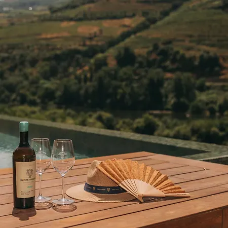 Torel Quinta Da Vacaria - Douro Valley-2