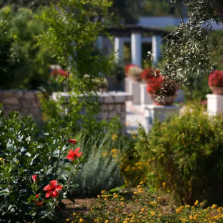 Hotel Al Mulino - Mediterranean Garden Retreat In Anacapri-3