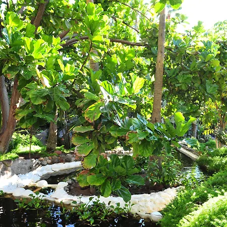 Hotel Parque Tropical-2