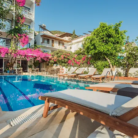 Hotel Koza-2