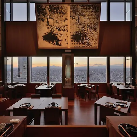 Park Hyatt Tokyo-3