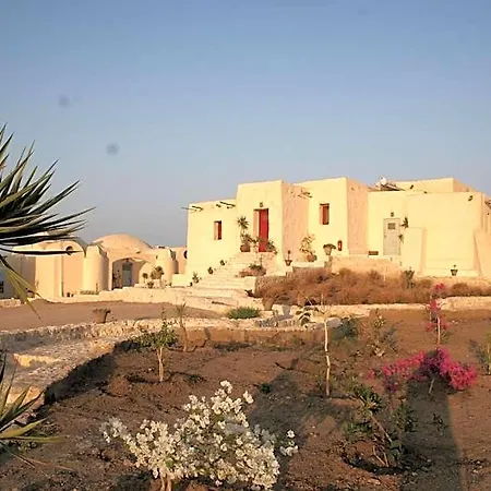 The Oasis-2