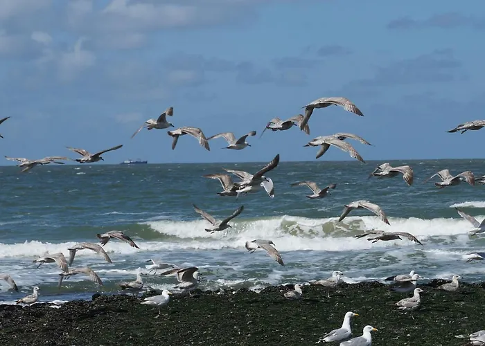 Bed & Breakfast Aan Zee
