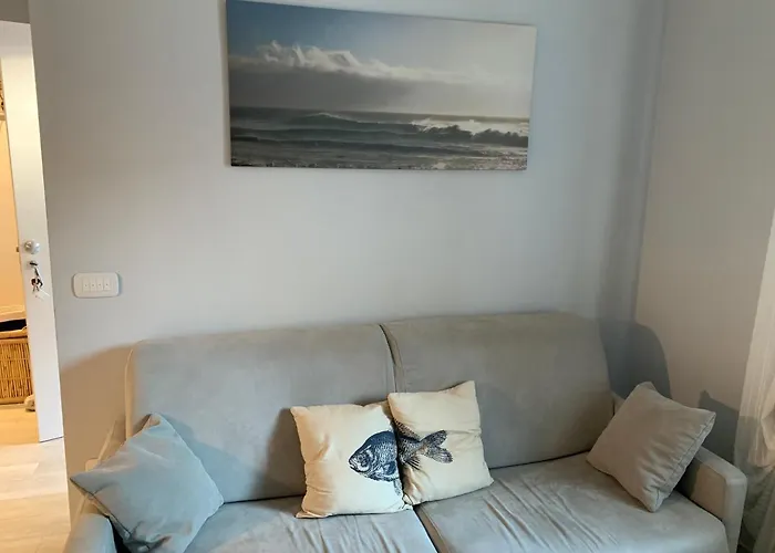 Cingohouse