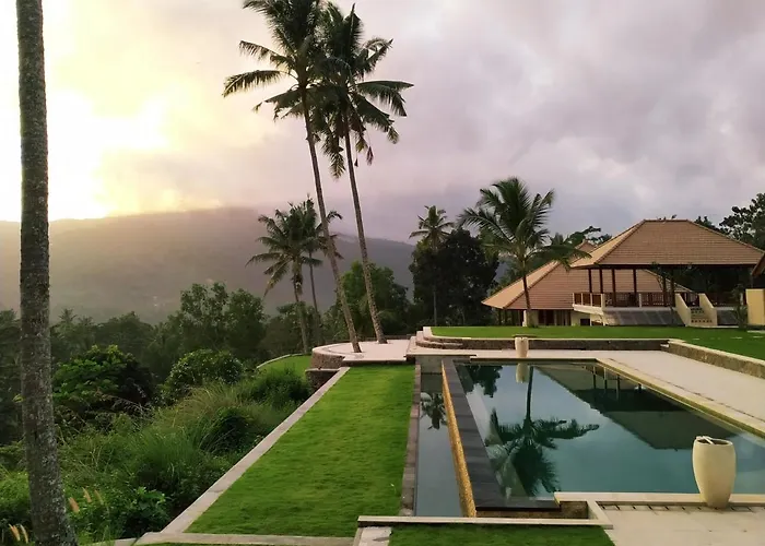 Palmterrace