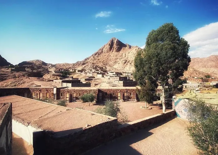 Sheikh Mousa Bedouin Camp