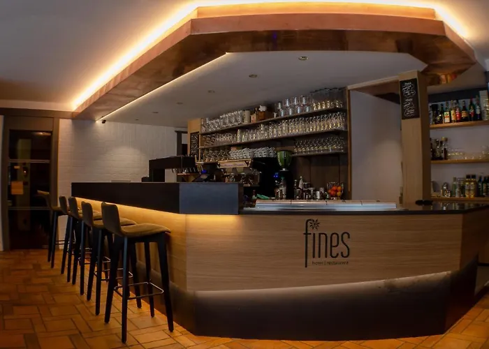 Hotel Fines