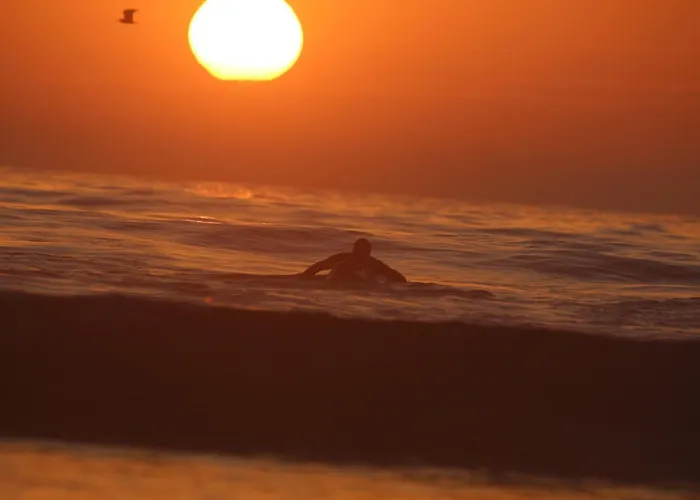 Golven Surf