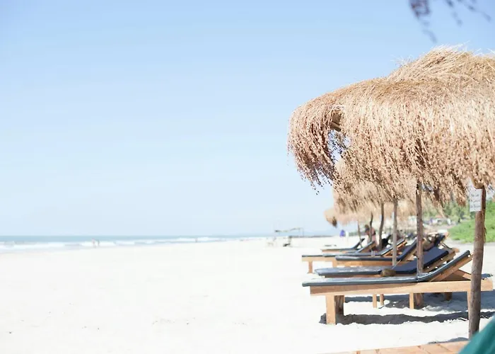 Palm Grove Beach Resort