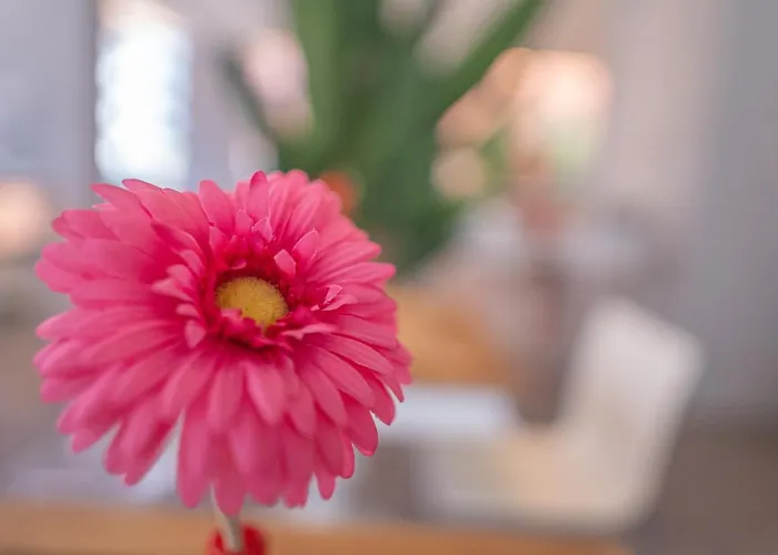 Design Hotel Astra B&B