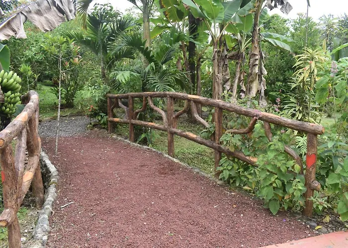 Hotel Roca Negra Del Arenal