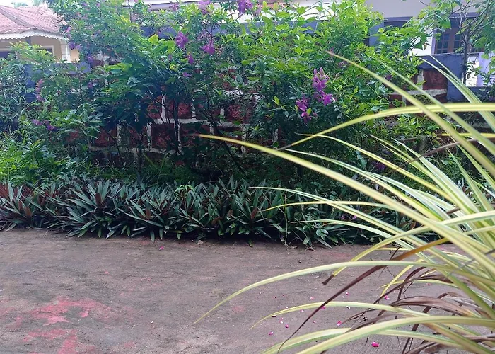 Lobo'S Guesthouse