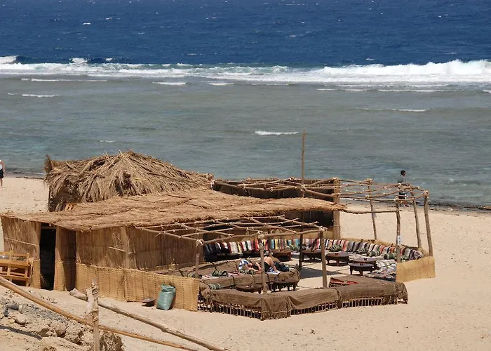 The Oasis