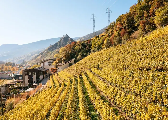 Weingut&Genusshotel Spitalerhof Superior