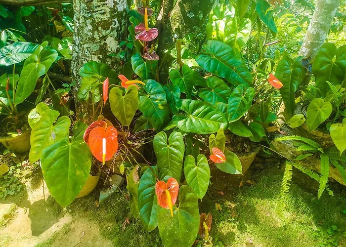 Samadhi Nature Resort