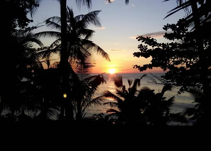 Paradise Palms