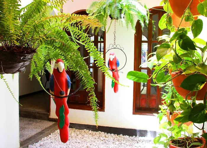 La Guaca Hostel Santa Marta