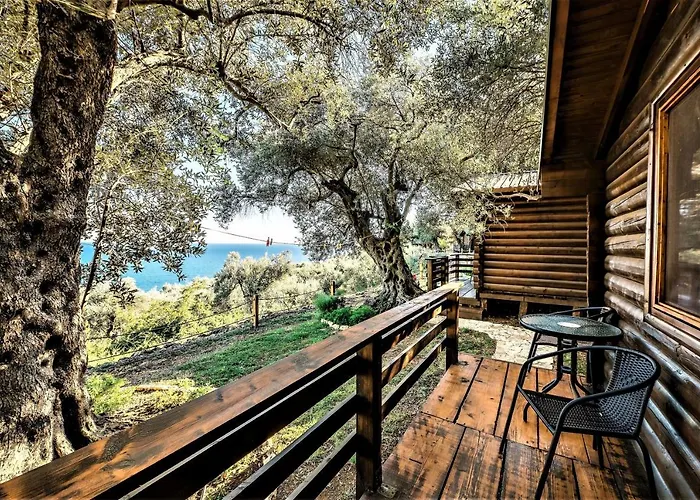 Holiday Park Olive Tree