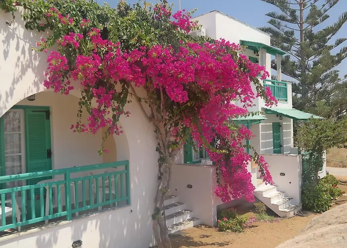 Panoramic View