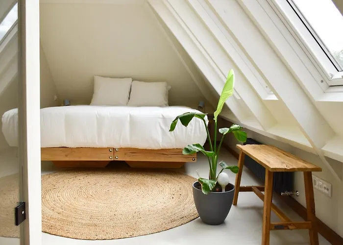Van Heeckeren Apartments&Suites Nes