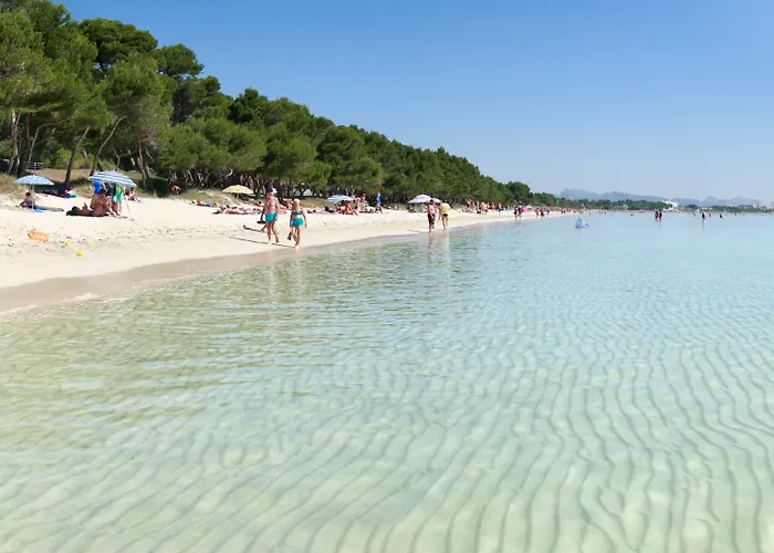 Js Sol De Alcudia