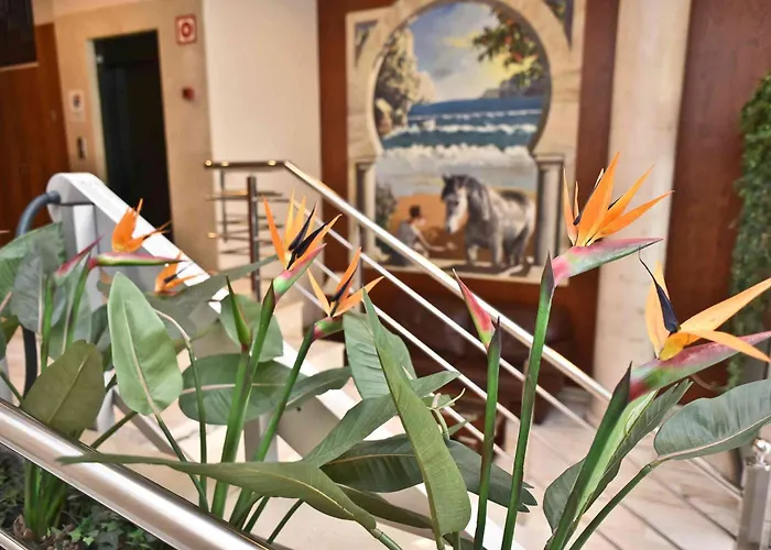 Hotel Adsubia