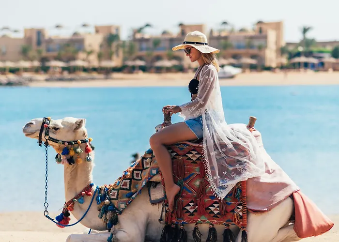 Desert Rose Resort