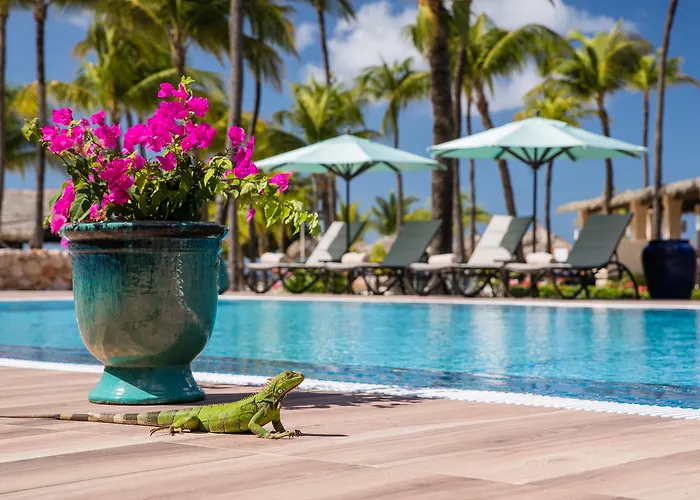 Manchebo Beach Resort And Spa