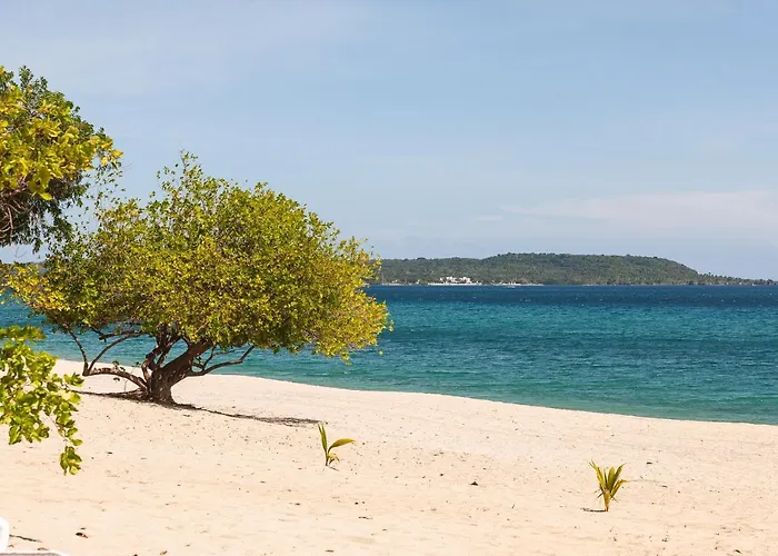 Virgin Beach Resort