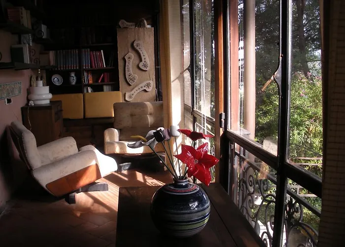 B&B Ippolito