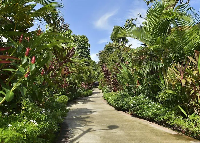 Rainforest Resort Phu Quoc