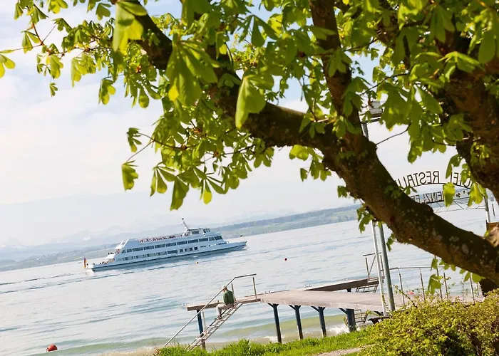 Hotel Heinzler am See