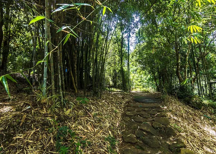 Uravu Bamboo Grove Resort