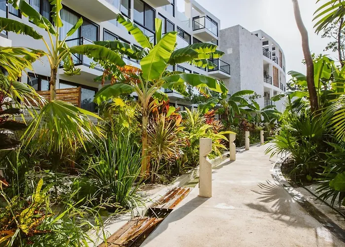 The Waves Tulum By Bnb Experience