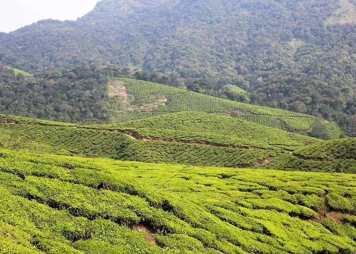 Green Garden Ayurvedic Resort&Green House