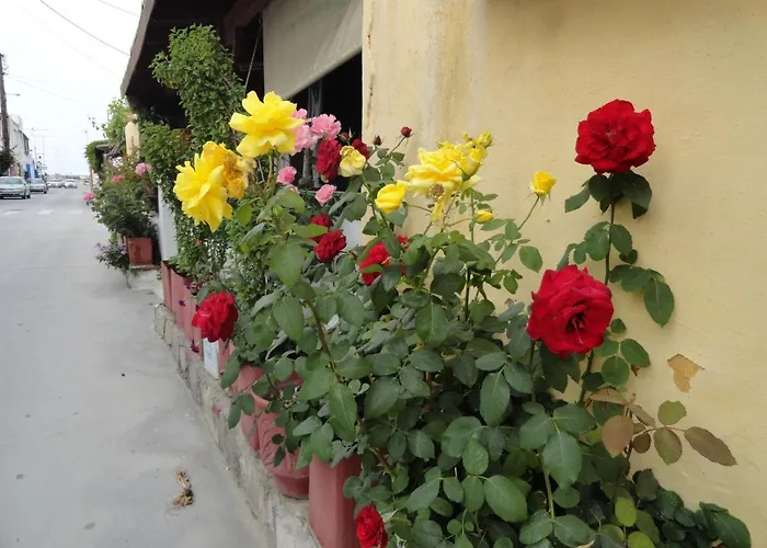 Elia Mare Apartment